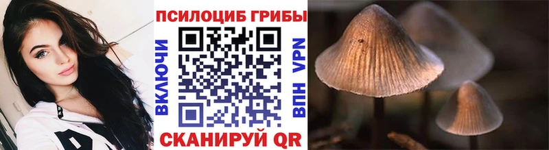 Галлюциногенные грибы Psilocybine cubensis  МЕГА ССЫЛКА  Суздаль 