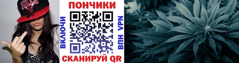 купить наркоту  Суздаль  Бошки марихуана планчик 